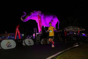 BIB: 
                            <button type="button" onclick="openModal(26543955)" class="btn btn-primary btn-sm float-right btn-popup" data-toggle="modal" data-target=".modal-high-quality">
                        <i class="fas fa-shopping-cart"></i> Add to Cart
                    </button>
                                            <button type="button" onclick="isThisMe(26543955, true)" class="btn btn-success btn-sm float-right btn-popup btn-isme hidden" data-toggle="tooltip" data-placement="bottom" title="นี่คือรูปของคุณใช่ไหม คลิกที่นี่เพื่อเอาเข้าอัลบั้ม">
                        <i class="fas fa-plus"></i> Add to album
                    </button>
                    <button type="button" onclick="isThisMe(26543955, false)" class="btn btn-warning btn-sm float-right btn-popup btn-isnotme hidden">
                        <i class="fas fa-ban"></i> Remove from album
                    </button>